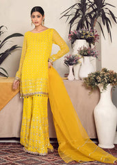 Shehnayi 2 (Sharara) – Noorangi – Chiffon