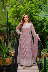 KURTI 118-ALPHA LAVISH