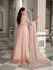 KHAWAB (Maxi Fully stitched) with BIG Discount -Noorangi – Net