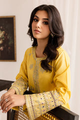 Diyar 2Pc - Embroidered 50% OFF