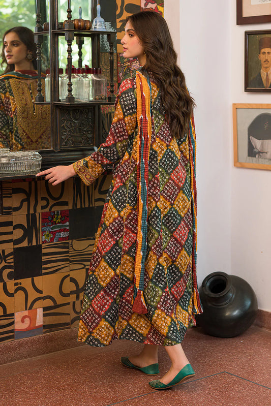 Hania 3Pc Digital Printed with Embroidered Neck ( Winter)