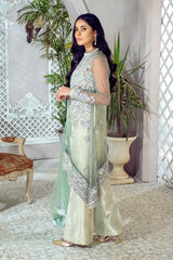 Rang-e-feroza – Noorangi – Net – Silk