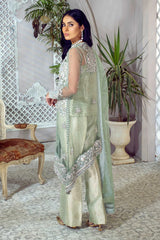 Rang-e-feroza – Noorangi – Net – Silk